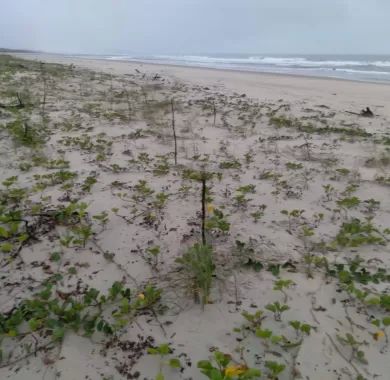 Construção dos molhes de Itapoá - SC