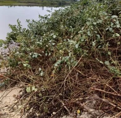 Obra de Fixação da Barra e Dragagem do Rio Saí-Mirim em Itapoá - SC