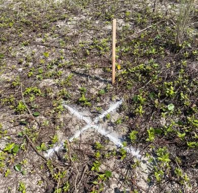 Obra de Fixação da Barra e Dragagem do Rio Saí-Mirim em Itapoá - SC