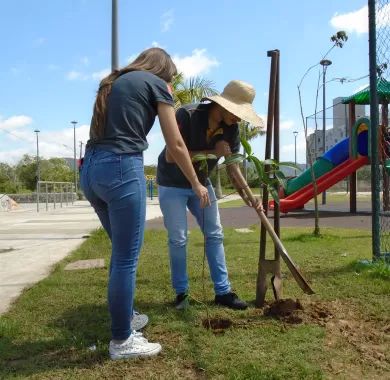 ITAJAÍ MAIS VERDE - 2022