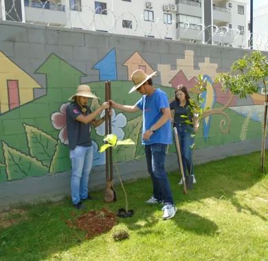 ITAJAÍ MAIS VERDE - 2022